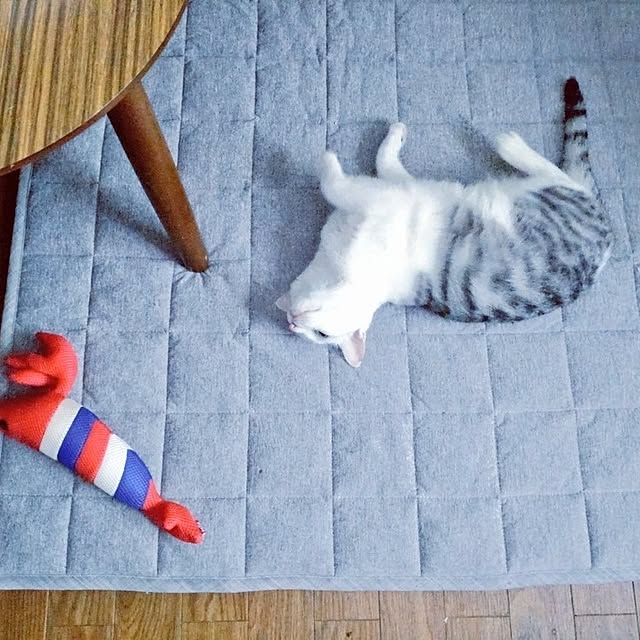 hirukumaさんの実例写真