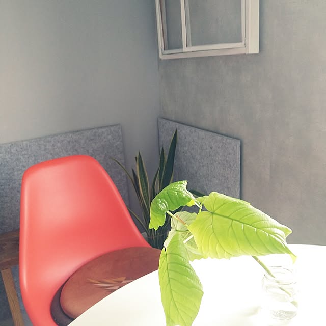 yukagomaさんの実例写真