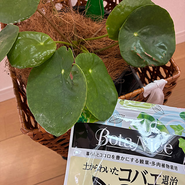 dmamaさんの実例写真