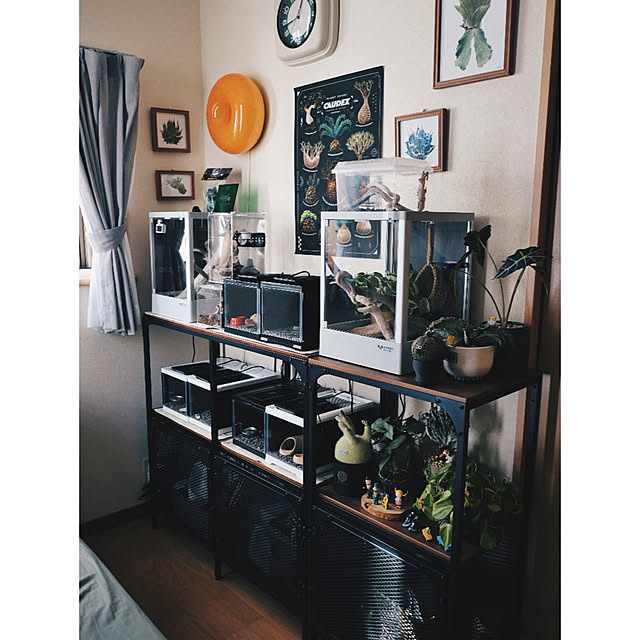 w_end_0625さんの実例写真