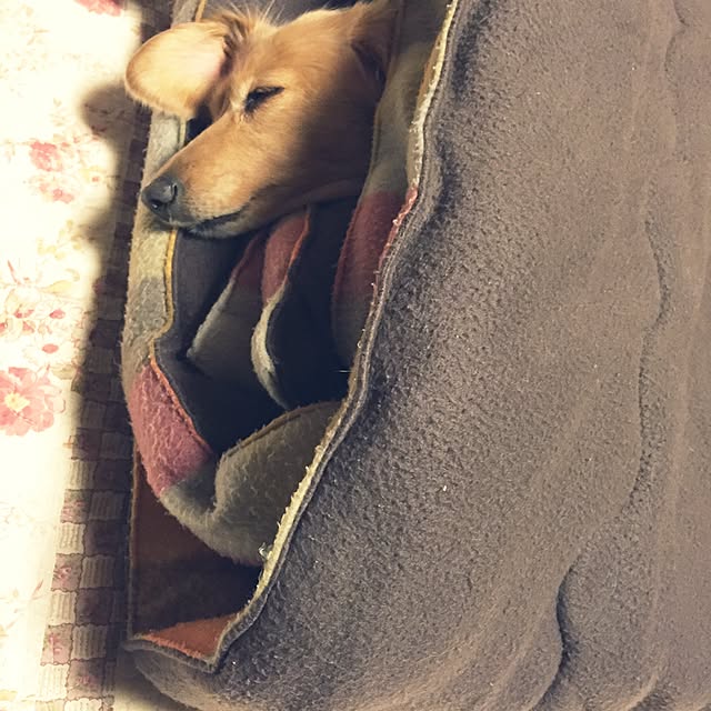 bibianさんの実例写真