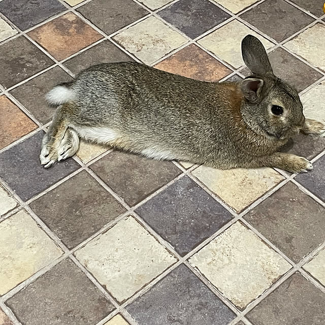 emiuraranさんの実例写真