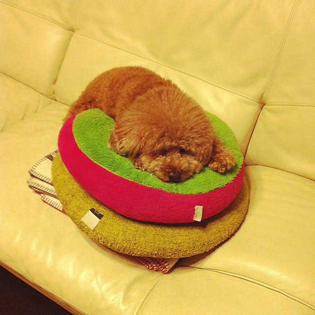rikoさんの実例写真