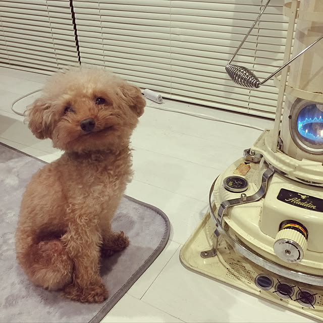 chiiさんの実例写真