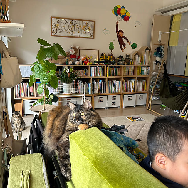 mikomaruさんの部屋