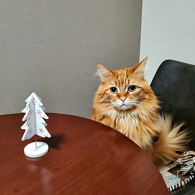 poteoreさんの実例写真