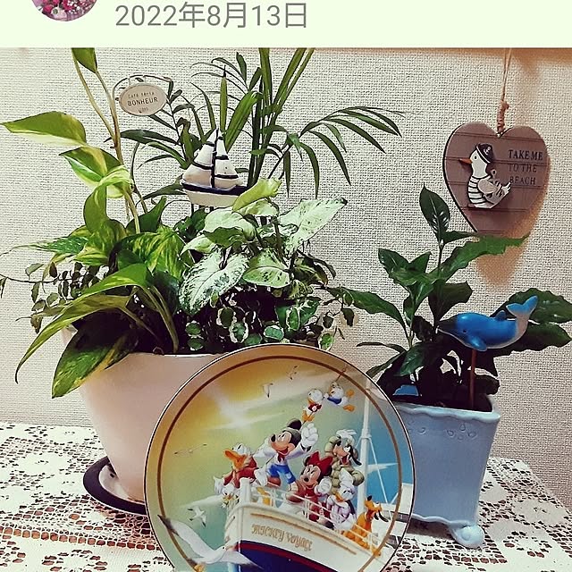 katさんの部屋