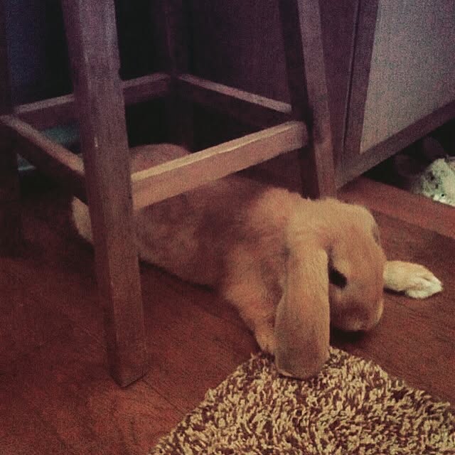 NaoMさんの実例写真