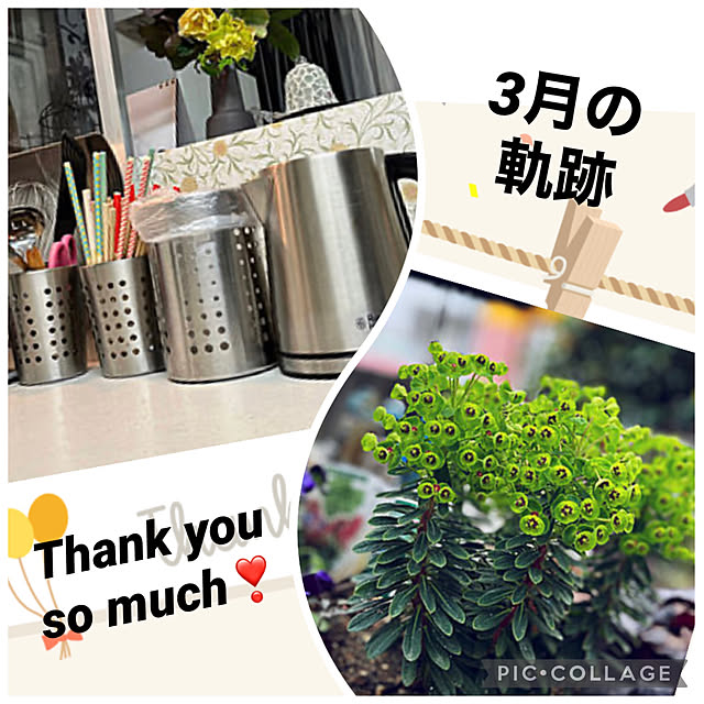 yukarin-gardenさんの実例写真