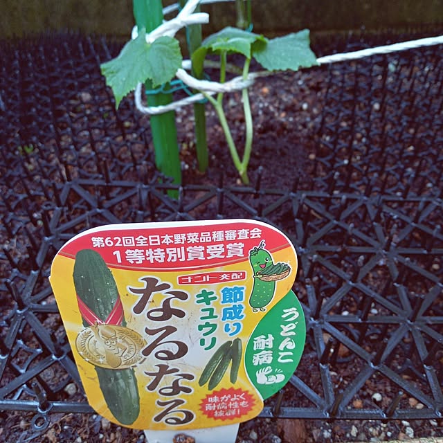 mocomocoさんの実例写真
