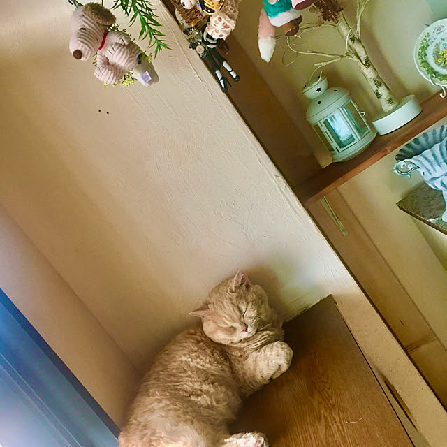 naokoさんの部屋