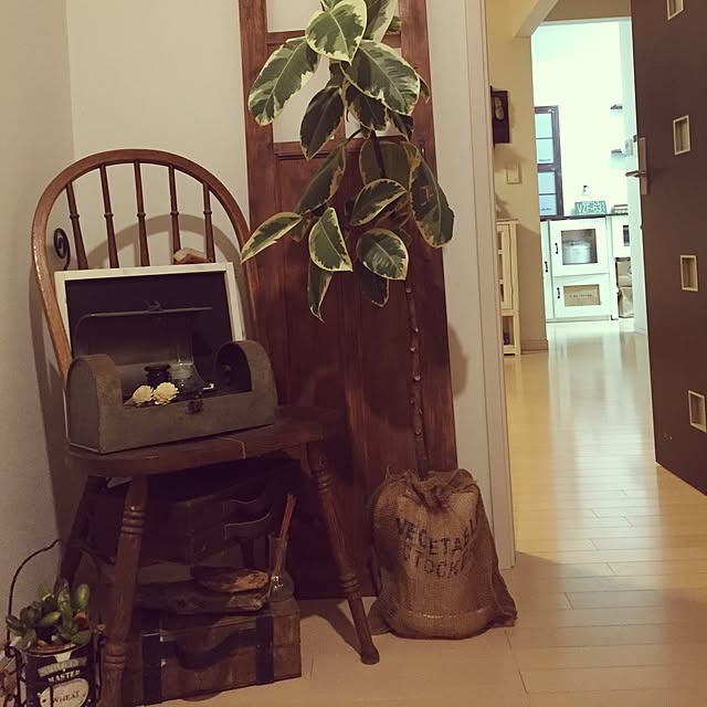 玄関/入り口/DIY/多肉植物/観葉植物のインテリア実例 - 2015-11-07 17:46:05
