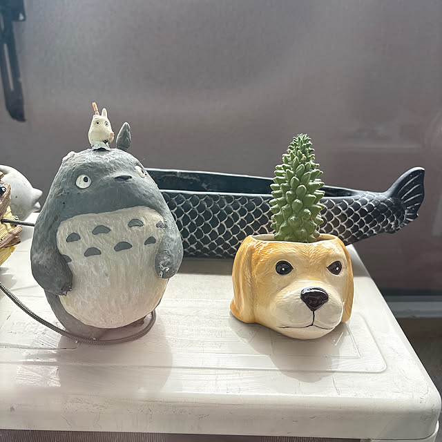 buddykoさんの実例写真