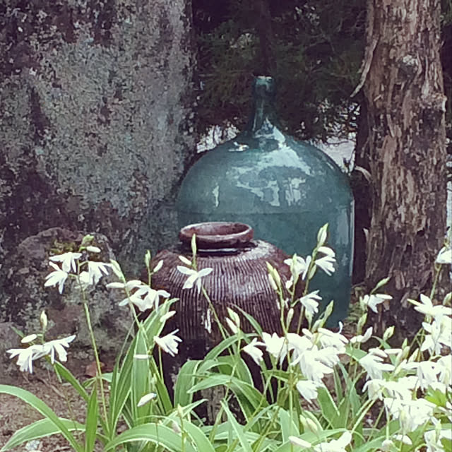 utamaruさんの実例写真