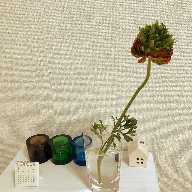 Negiさんの実例写真
