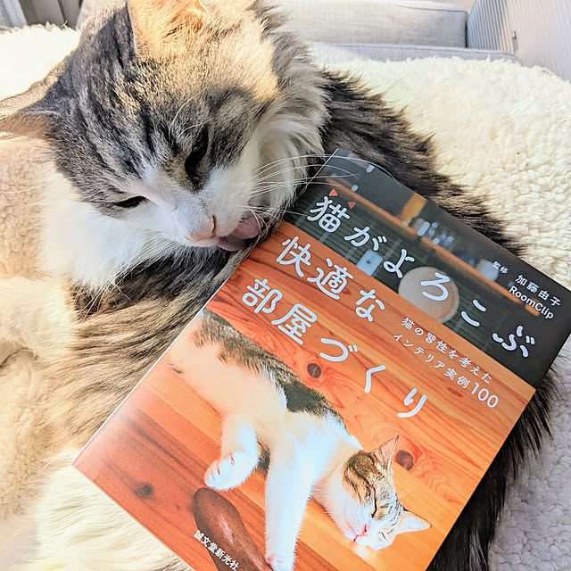 ponさんの実例写真