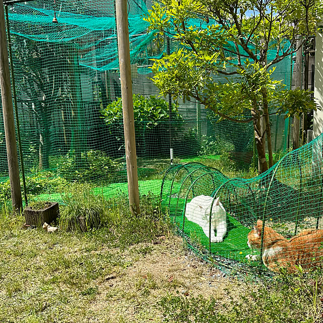 nyanko-beamさんの部屋