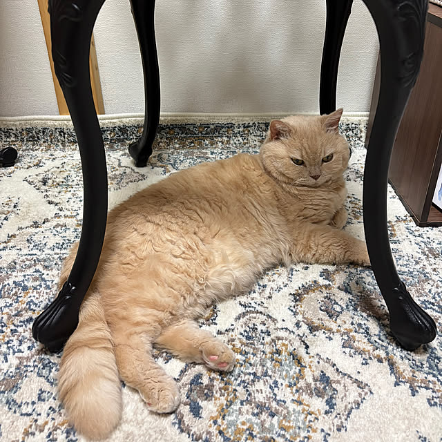 naokoさんの部屋