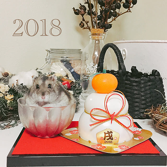 hamu.haruさんの実例写真
