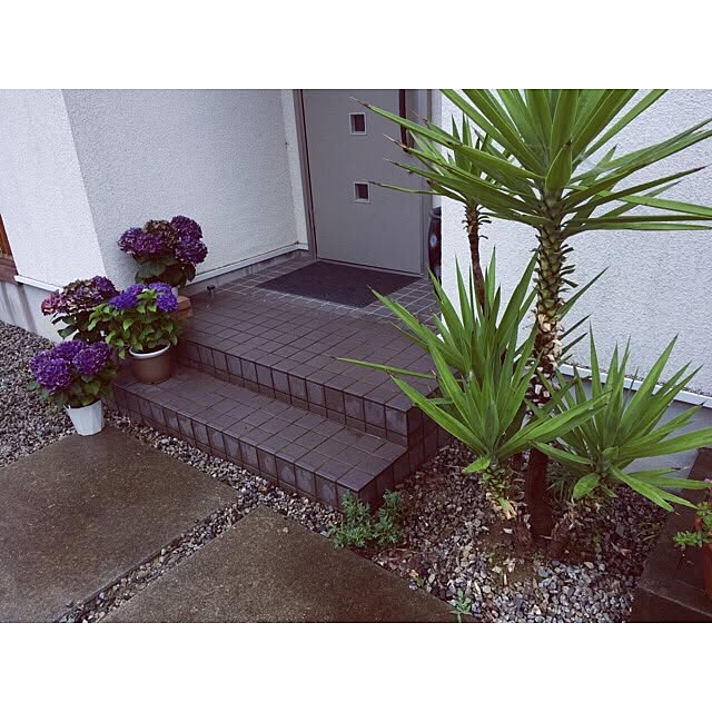 piano.ya168さんの実例写真