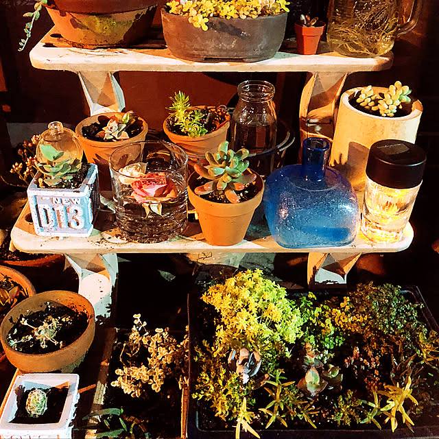 beautifulflowerさんの実例写真