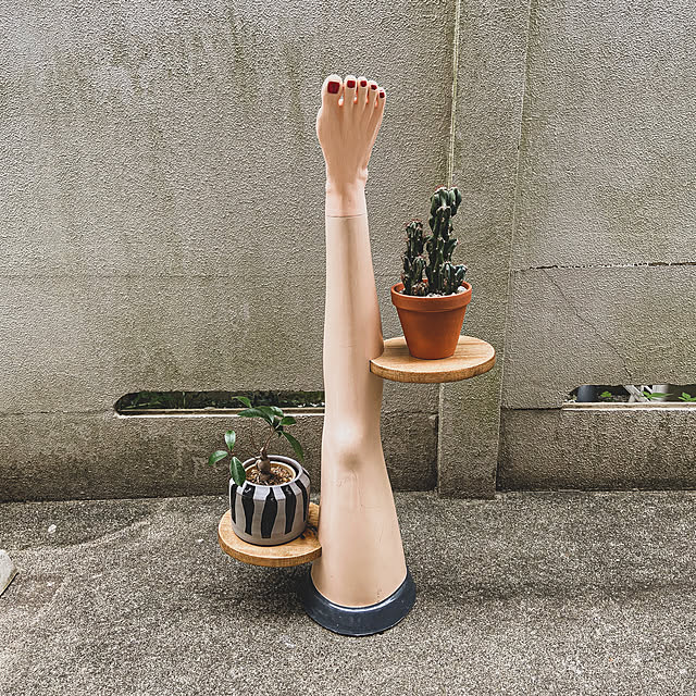 hada.iroさんの実例写真