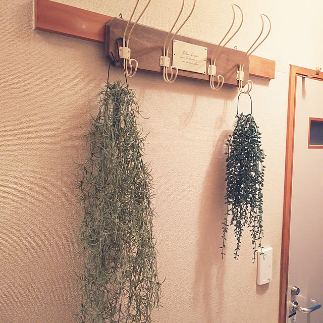 kさんの実例写真