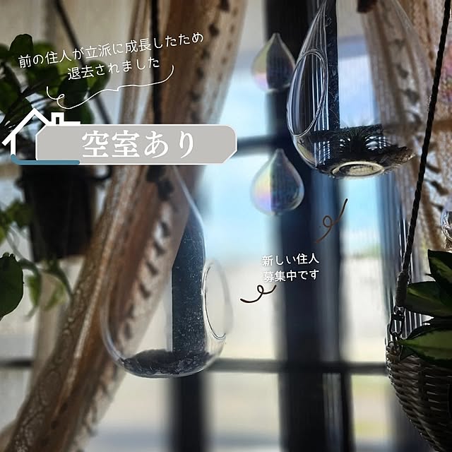 CYNOSさんの実例写真