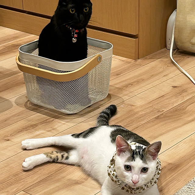 yuuuさんの実例写真