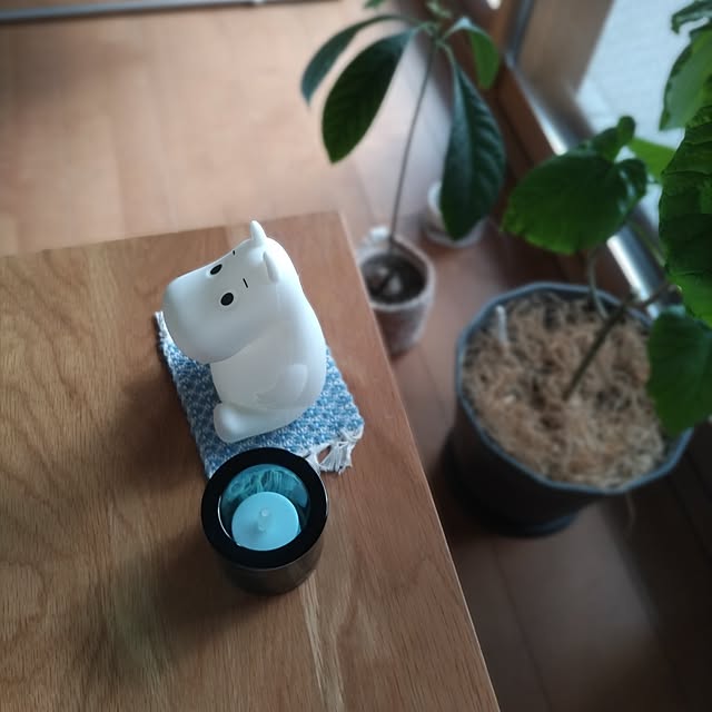 sakiさんの実例写真