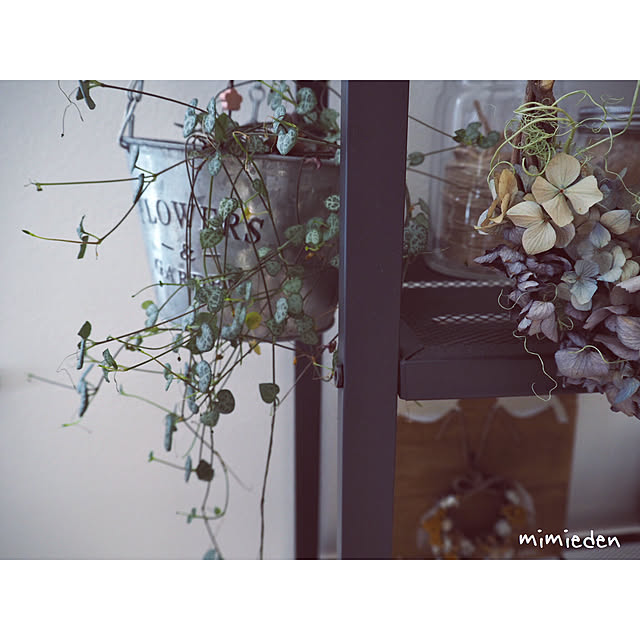 mimiedenさんの実例写真