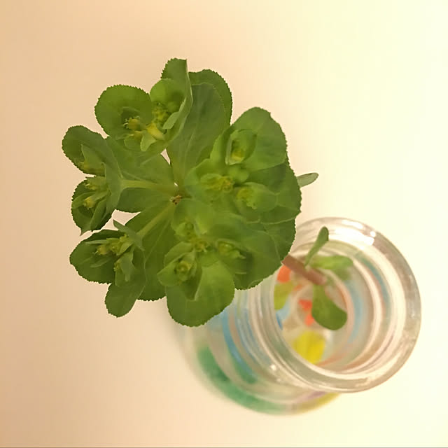 Lioさんの実例写真
