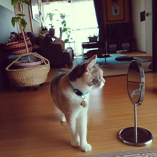 fukuさんの実例写真