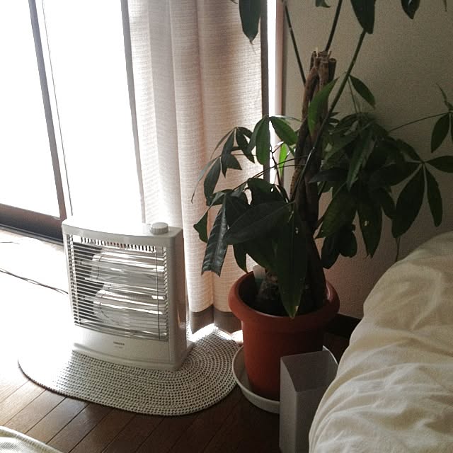 nonさんの実例写真