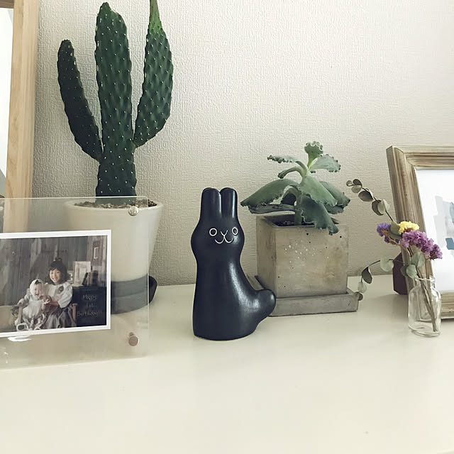 piyokichさんの実例写真