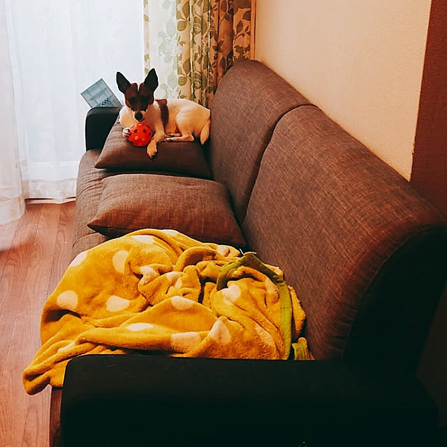 kiseさんの実例写真