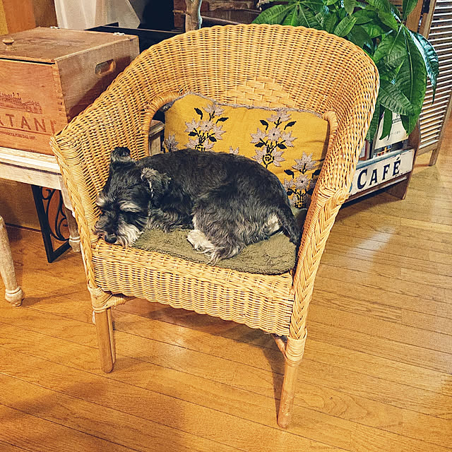 asaさんの実例写真