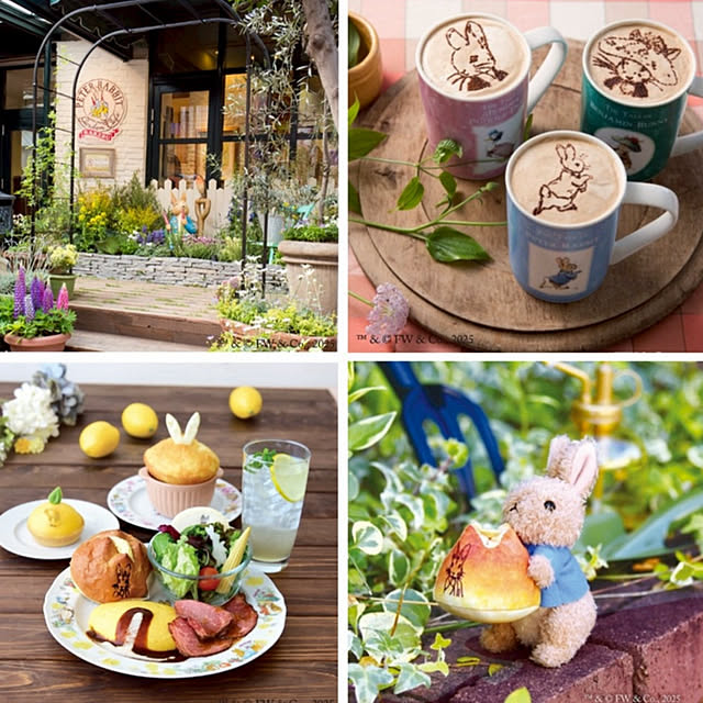 Aqettyさんの部屋