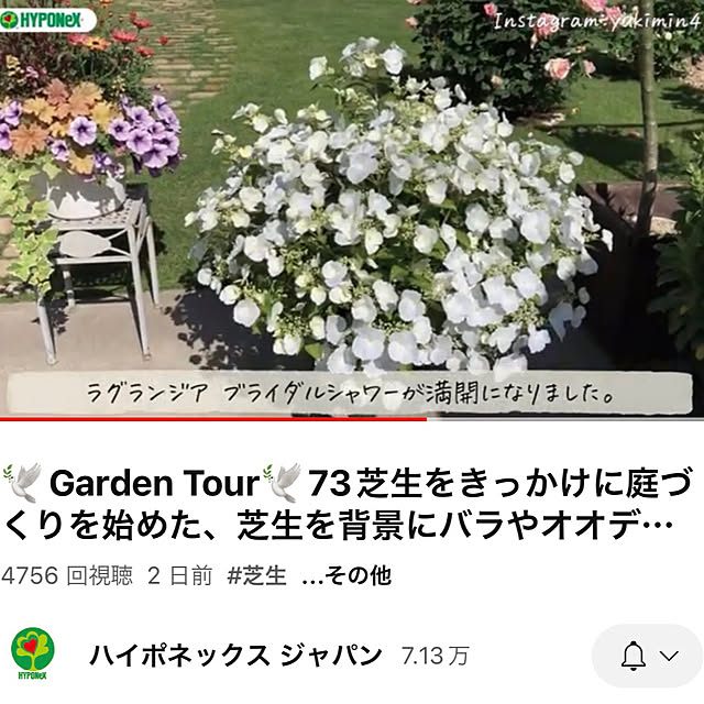 yukiminさんの部屋