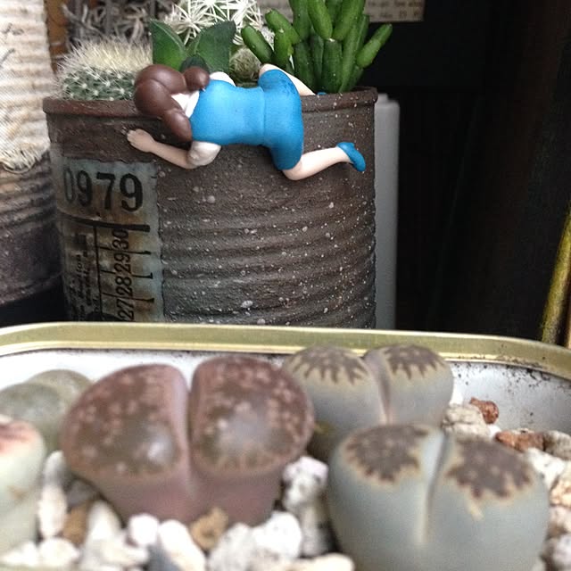 k-grainさんの実例写真