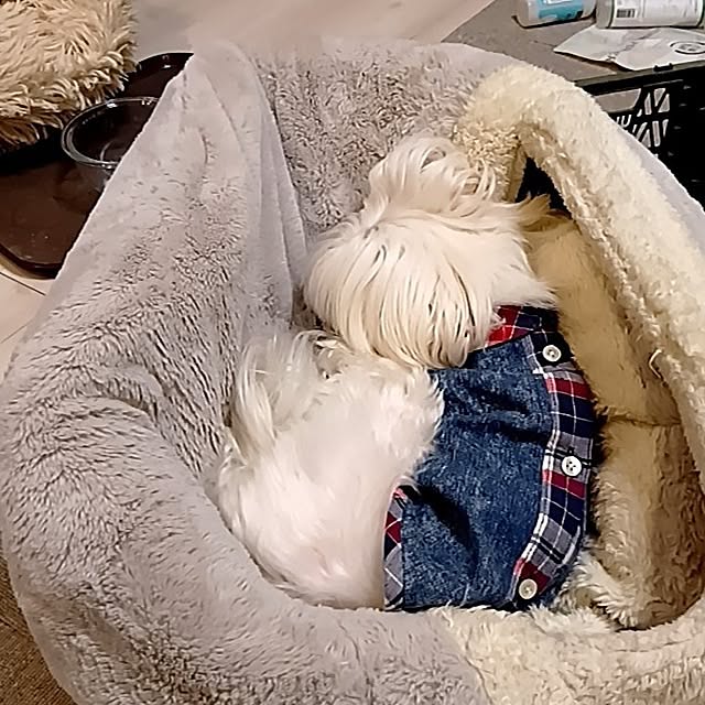 tomomiさんの部屋