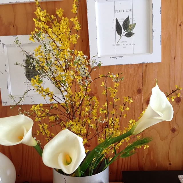 Erikorinさんの実例写真