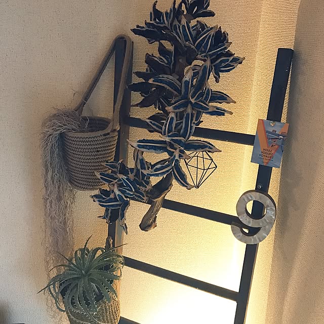 blueprintさんの実例写真