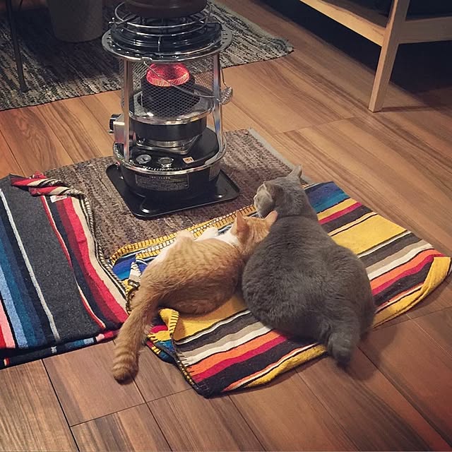 akaneさんの実例写真