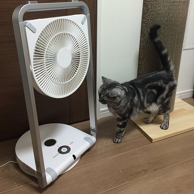 mikomaruさんの実例写真