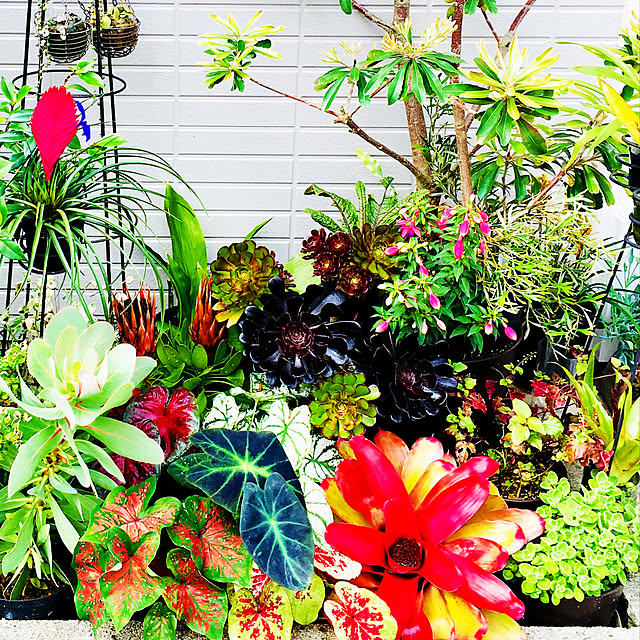 kasumiさんの実例写真