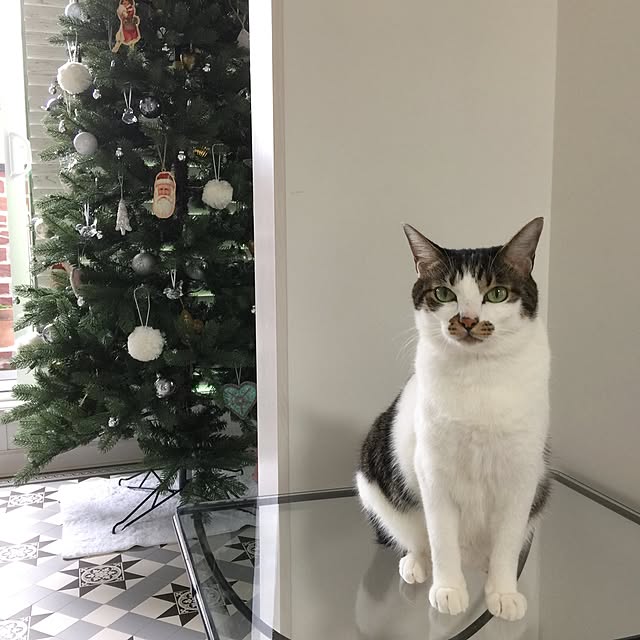 yuchiさんの実例写真