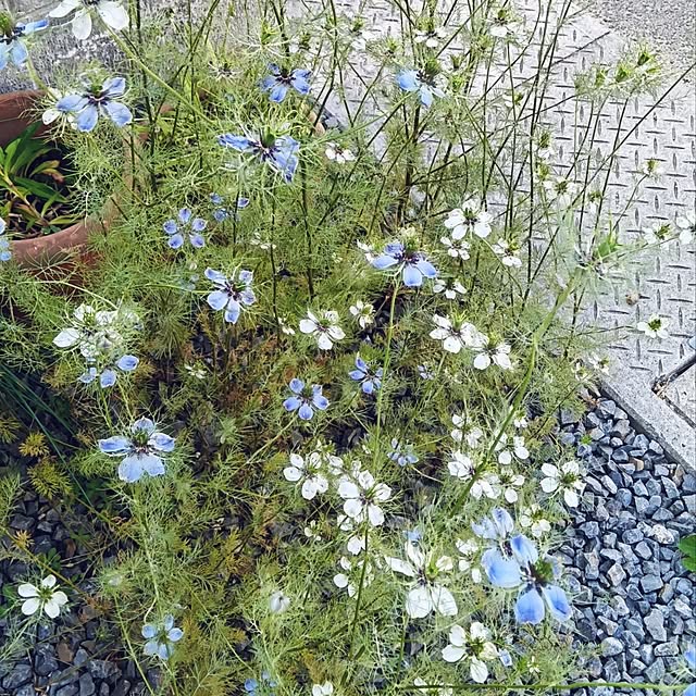 h.t.さんの部屋
