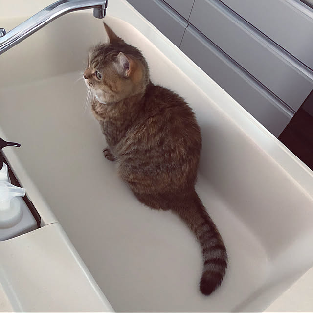 meloさんの実例写真