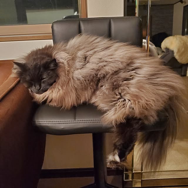 muku+maroさんの部屋